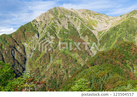 從大倉山脊的富士見平望去的赤石山。 從大倉山脊的富士見平望去的赤石山。 123504557