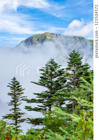 Morning mist over Mount Akuzawa (Higashidake) seen from the observation deck at Akaishi hut. Climbing Mount Akaishi in the Southern Alps 123504572