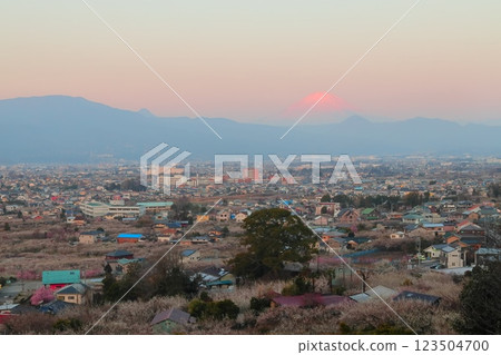 從神奈川縣小田原的觀景台俯瞰曾我梅林和富士山 123504700