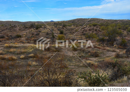 Salt River Recreation Area Arizona Salt River Recreation Area Arizona 123505030