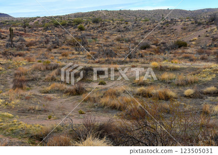 Salt River Recreation Area Arizona 123505031