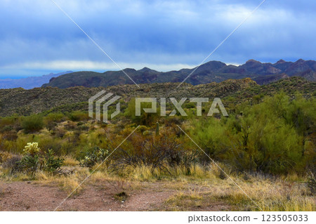 Salt River Recreation Area Arizona 123505033