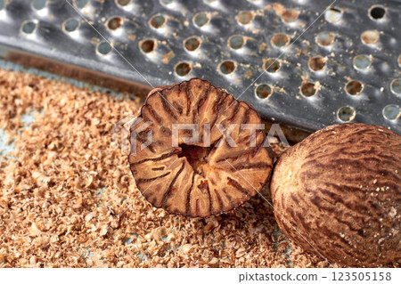 two dried nutmegs and a metal grater with grated nutmeg powder scattered in the background two dried nutmegs and a metal grater with grated nutmeg powder scattered in the background 123505158