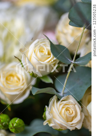 Delicate white and pink roses close up 123505238