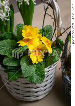 This charming flower basket showcases beautiful yellow blooms along with vibrant greenery This charming flower basket showcases beautiful yellow blooms along with vibrant greenery 123505244