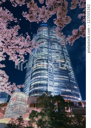 櫻花的風景 櫻花的風景 123505262