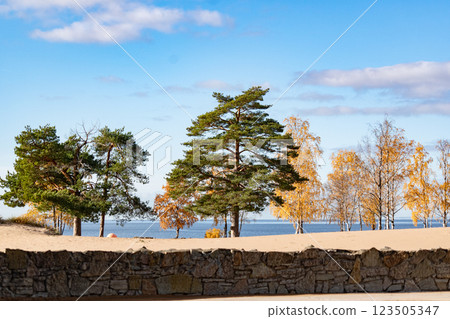 Sandy beach of the Gulf of Finland in the Kurortny district in golden autumn 123505347