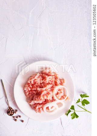 Homemade minced meat on a white plate Homemade minced meat on a white plate 123505602