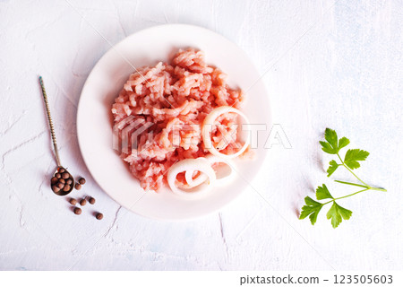 Homemade minced meat on a white plate 123505603
