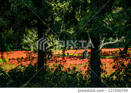 Shimane, Yoshiga, Higanbana Village Shimane, Yoshiga, Higanbana Village 123506704