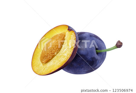 Prune illustration realistic 123506974