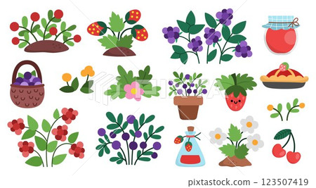 Vector cartoon berry clipart set. Woodland or garden plants icons collection. Forest nature illustrations with strawberry, cranberry, raspberry, blackberry, jam, basket. Cottage core harvest pack 123507419