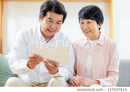 Senior couple looking at tablet 123507614
