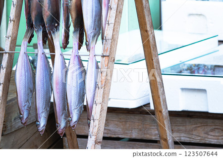 魚店前晾乾的比目魚乾的場景 123507644