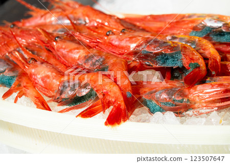 冰上鮮紅蝦子的場景 123507647
