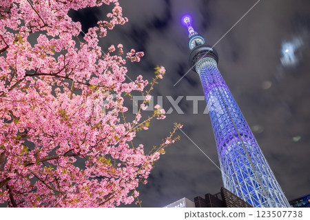 天空樹和櫻花被照亮 天空樹和櫻花被照亮 123507738