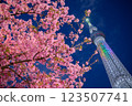 景觀與天空樹和櫻花 123507741
