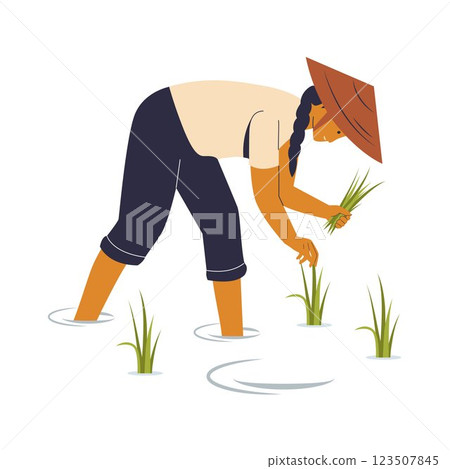 Illustration of Farmer Harvesting Rice 123507845