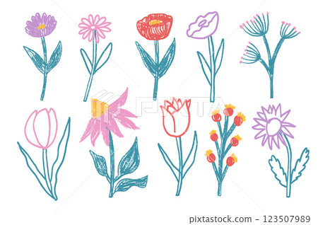 Flowers crayon drawn set. Spring tulip, daisy, aster and marguerite plants doodle set. Pastel childish floral shape. Vector pencil illustration isolated on white background Flowers crayon drawn set. Spring tulip, daisy, aster and marguerite plants doodle set. Pastel childish floral shape. Vector pencil illustration isolated on white background 123507989