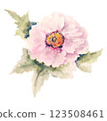 Hand Drawn Delicate Watercolor Flower 123508461