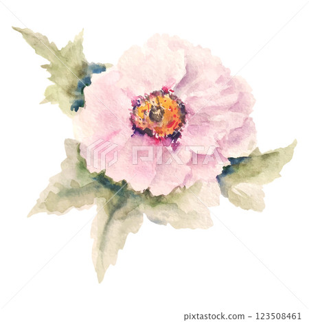 Hand Drawn Delicate Watercolor Flower 123508461
