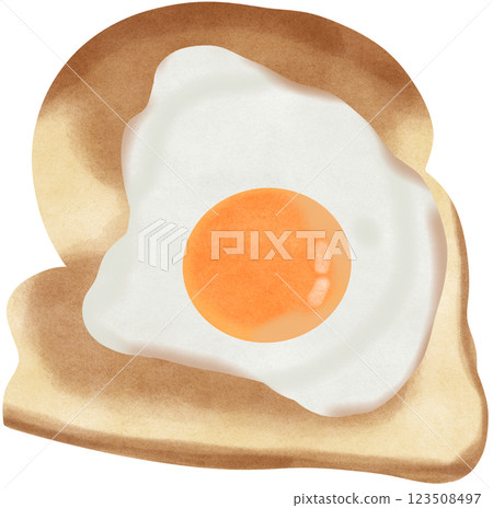 fried egg on a bread 123508497