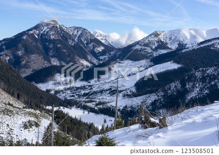 Chocholowska Glade in winter. Western Tatras. Poland. 123508501
