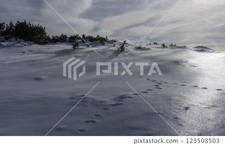 Frozen snow in the Western Tatras in winter. The area Lucna peak. 123508503