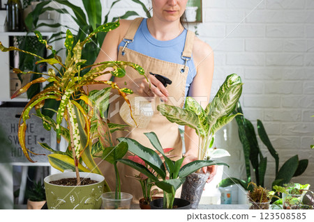 Woman florist sprays from a spray gun home plants aglaonema, liquid fertilizer, pest control. Home plant growing, green house, water balance, humidification Woman florist sprays from a spray gun home plants aglaonema, liquid fertilizer, pest control. Home plant growing, green house, water balance, humidification 123508585