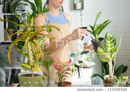 Woman florist sprays from a spray gun home plants aglaonema, liquid fertilizer, pest control. Home plant growing, green house, water balance, humidification 123508588