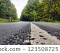 Road close-up in summer forest 123508725