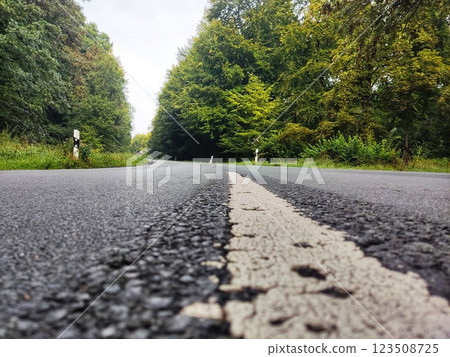 Road close-up in summer forest 123508725