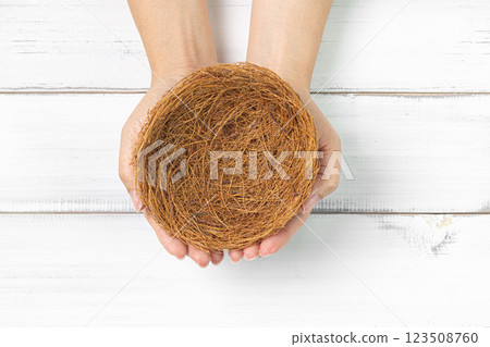 Hands Cradling Empty Nest: Symbol of New Beginnings and Care on White Wooden Background Hands Cradling Empty Nest: Symbol of New Beginnings and Care on White Wooden Background 123508760