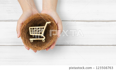 E-Commerce and Retail Growth: Hands Holding Wooden Shopping Cart Symbol in a Nest 123508763