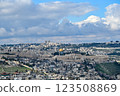 Beautiful panoramic wiew on Jerusalem and the Temple Mount with the Dome of the Rock. 123508869