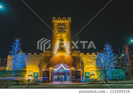 Illuminated Mein Schloss in Hamamatsu at night (Shizuoka Prefecture) 123509328