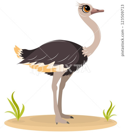 Cute zoo. Vector birds. Cute ostrich. Vector animals collection. Children's flat vector illustrations. Cute zoo. Vector birds. Cute ostrich. Vector animals collection. Children's flat vector illustrations. 123509713