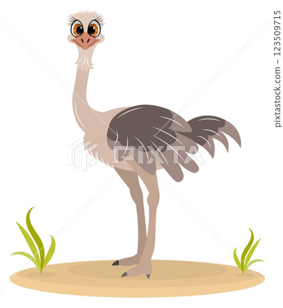 Cute zoo. Vector birds. A cute ostrich stands on the sand. Vector animals collection. Children's flat vector illustrations. Cute zoo. Vector birds. A cute ostrich stands on the sand. Vector animals collection. Children's flat vector illustrations. 123509715