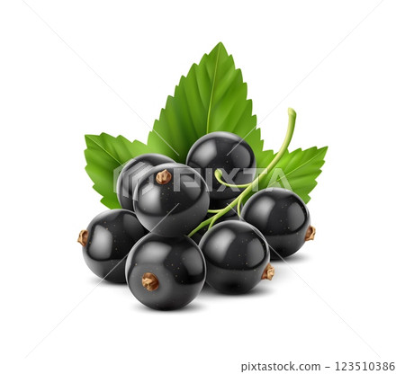 Realistic fresh black currant with glossy skin, tiny brown stems, and vibrant green leaves. 3d vector juicy and appetizing bunch of berries appear plump and ripe, reflecting light for a natural sheen 123510386