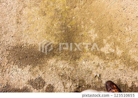 Road surface that is wet due to melting snow [Concrete paved road surface] 123510655