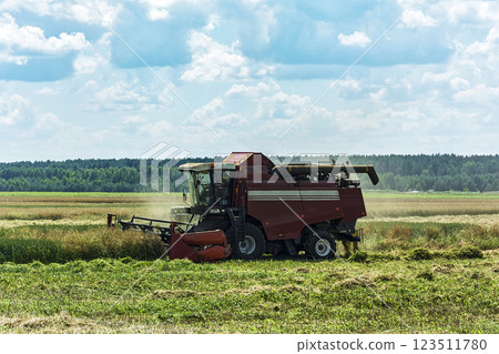 Rural landscape. Harvester for harvesting grain crops 123511780