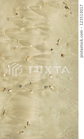 A lot of small corals on the sand. View from the top A lot of small corals on the sand. View from the top 123513017