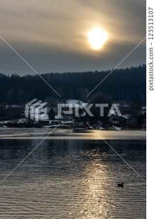 Duck in the reflection of a sunset, Lipno, Czechia 123513107