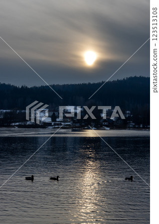Ducks in the reflection of a sunset, Lipno, Czechia 123513108