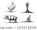 arm scene with duck, hay, and pig, vintage engraving illustration 123513628