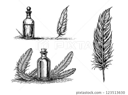 Vintage witchcraft set with potions and feathers, mystical engraving 123513630