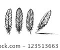 Vintage witchcraft set with mystical feathers, engraved illustration 123513663