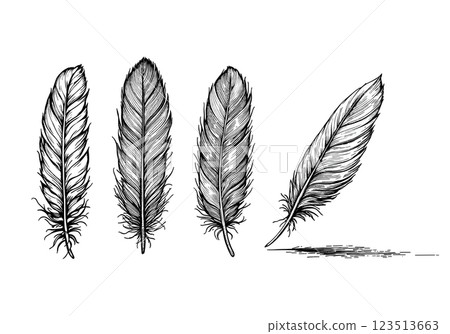 Vintage witchcraft set with mystical feathers, engraved illustration 123513663