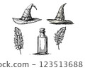 Vintage witchcraft set with hat, feathers, and potions, mystical engraving illustration. 123513688