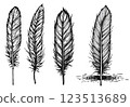 Vintage witchcraft set with mystical feathers, engraved illustration 123513689